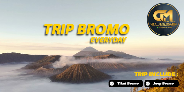 ct bromo